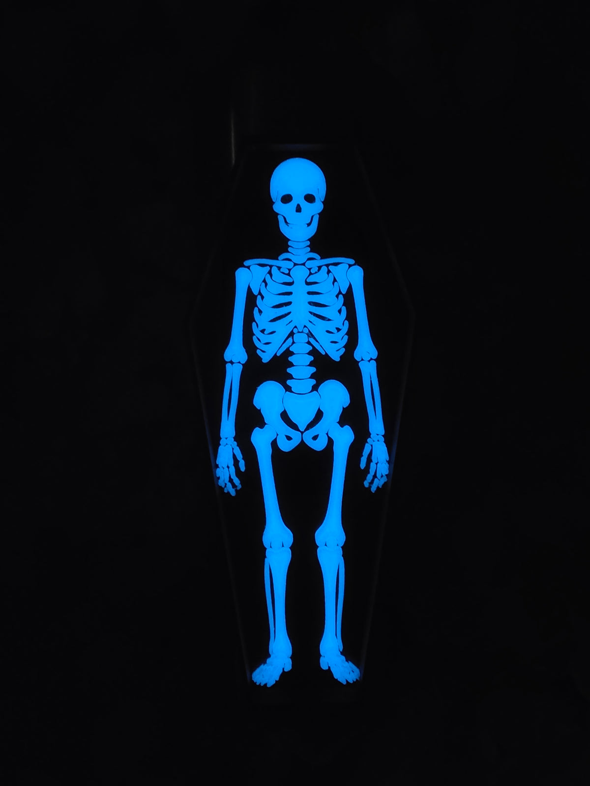 Glow Skeleton Coffin Element