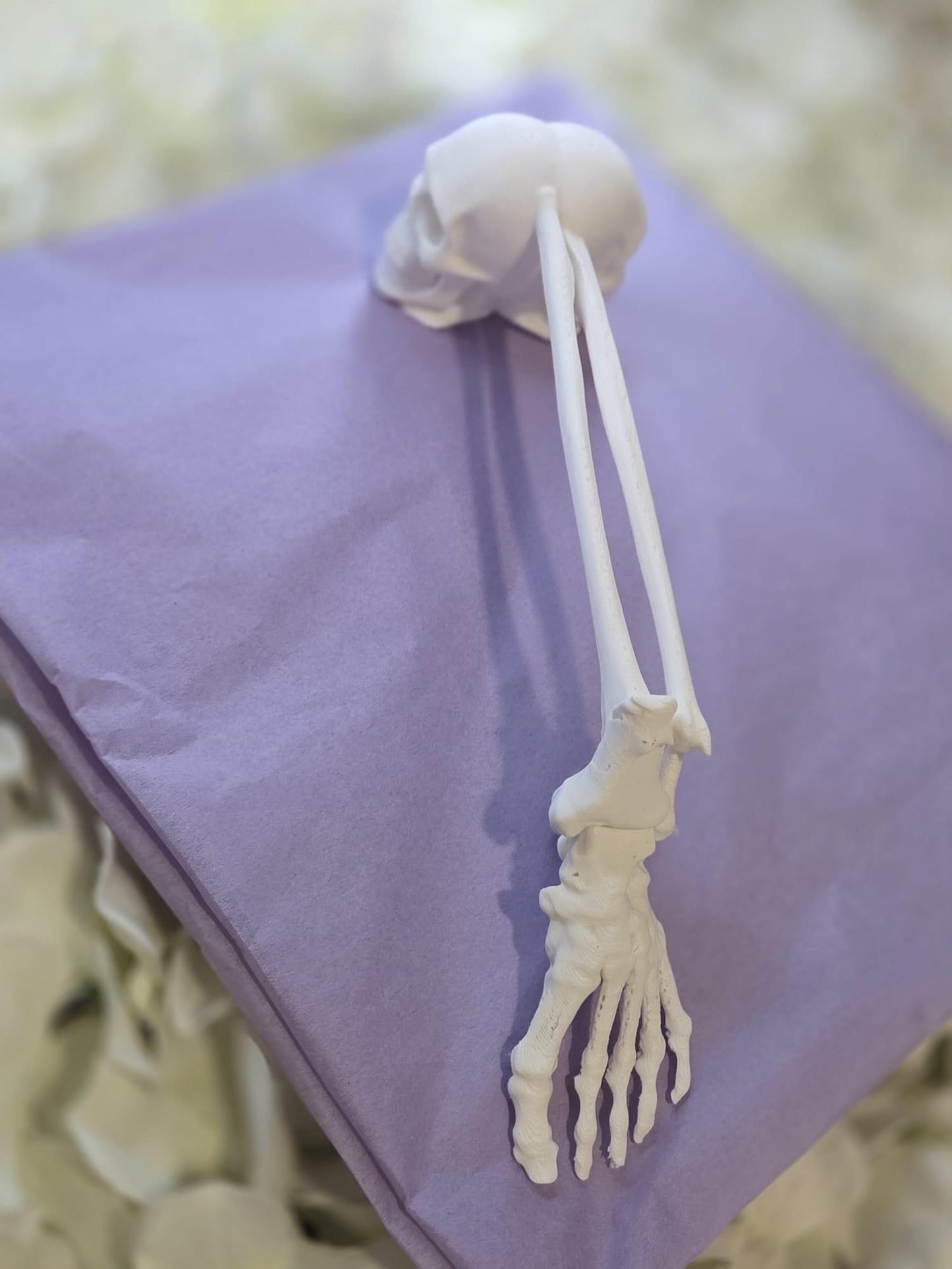 Bone Handle