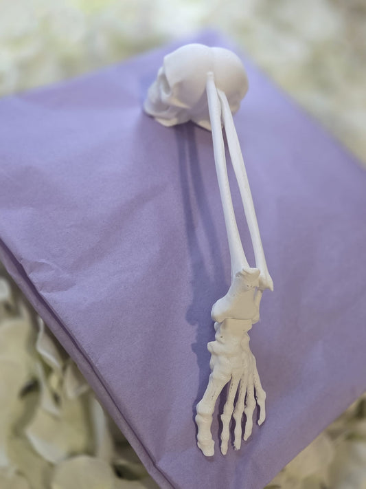 Bone Handle