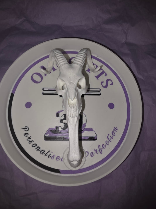 Rem Skull Handle